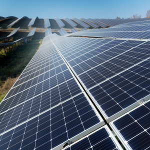 Diseño sin título (15)